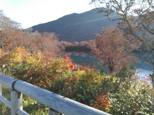 須川湖キャンプ場　紅葉